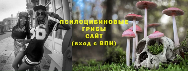 винт Аркадак